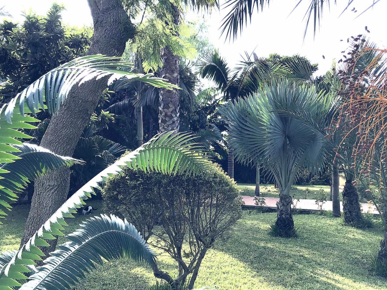 Villa Marrone - Relais - Marsala Exterior photo